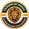 Jóvenes Talmidim